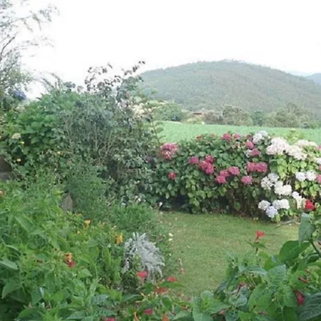 Golondrinas