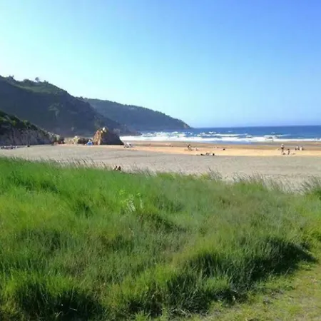 Golondrinas