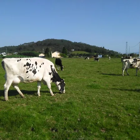 Appartement Golondrinas