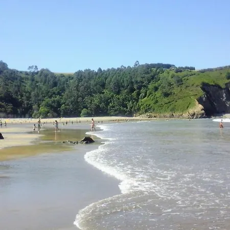 Golondrinas * Casiellas