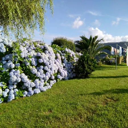 Golondrinas Casiellas