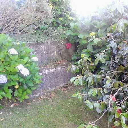 Golondrinas Appartement Casiellas