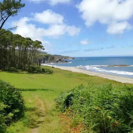 Golondrinas * Casiellas