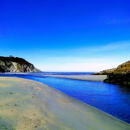 Golondrinas Casiellas