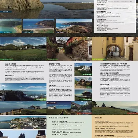 Golondrinas * Casiellas