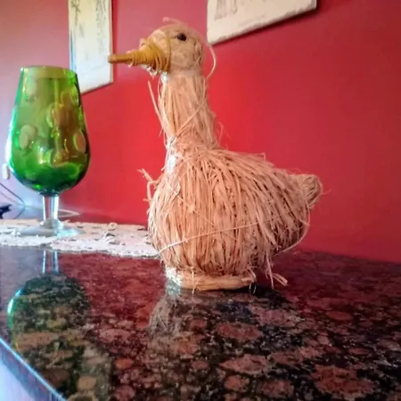 Golondrinas Casiellas