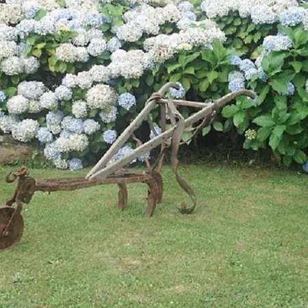 Golondrinas Casiellas