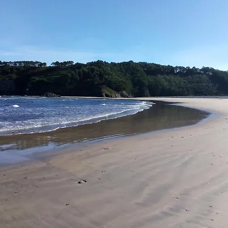 Golondrinas * Casiellas