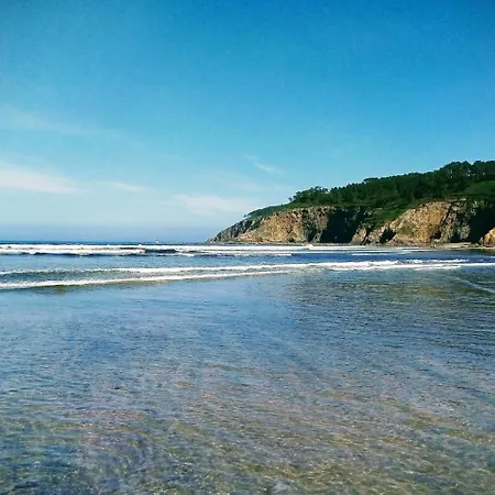 Golondrinas Casiellas